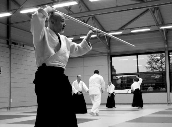 Joël Roche Stage armes