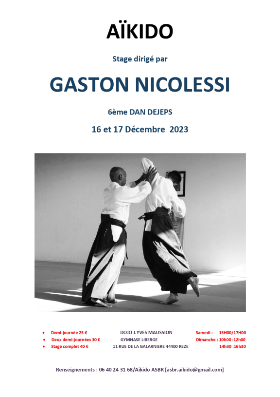 affiche Stage Aïkido Gaston Nicolessi 6ème Dan à Rezé (Nantes)