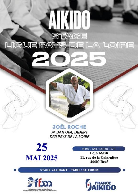 Affiche stage ligue Aikido à Rezé - Joël Roche