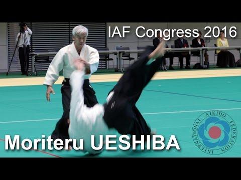 Preview image for the video "Demonstration by Moriteru Ueshiba - 12th IAF Congress in Takasaki".