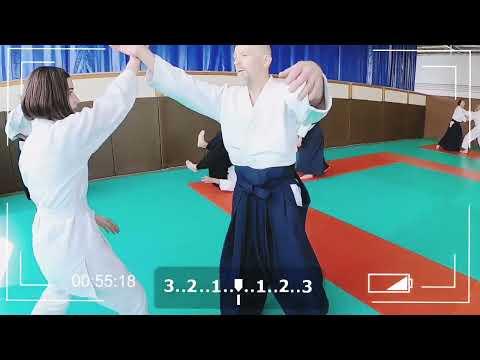 Preview image for the video "Aikido seminar a Nantes".